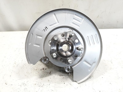 9115 ACHSSCHENKEL H L (Kopie)
