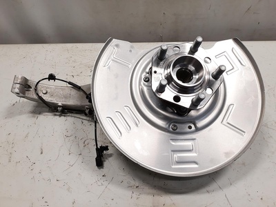 7081 ACHSSCHENKEL V L (Kopie)