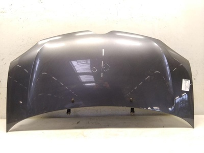 471 MOTORHAUBE