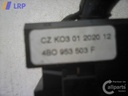 1002560571006_20101130134614.jpg