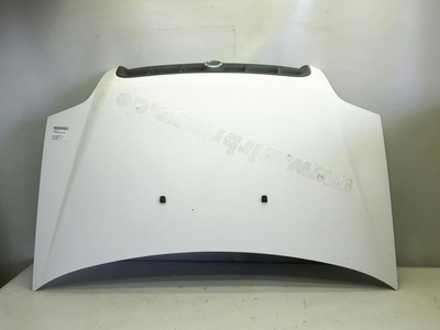 MOTORHAUBE M GRILL