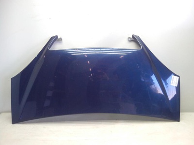 MOTORHAUBE